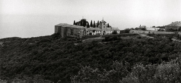 Kosc Athos123