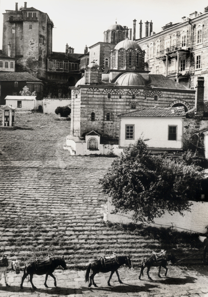 Kosc Athos83