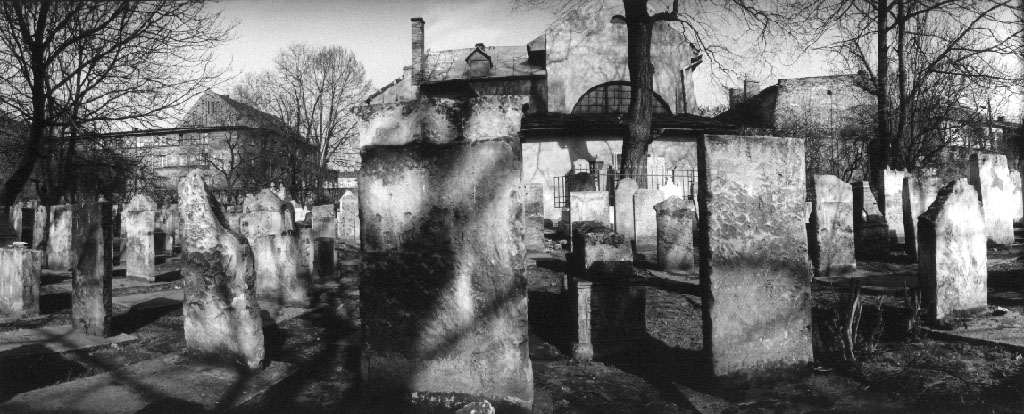 Kazimierz 11