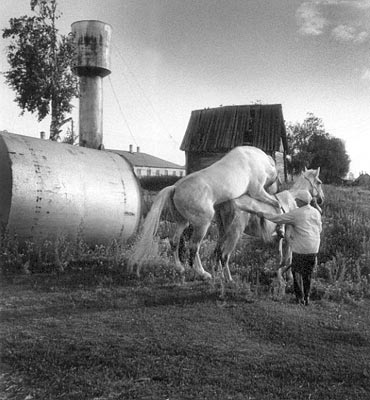 Copulation in a kolhoz, Tatristan-photographed by Zbigniew Kosc &copy; 1992